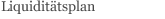 Liquiditätsplan